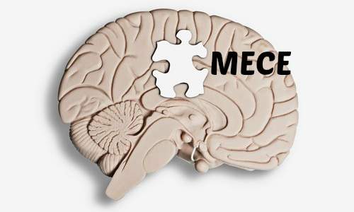 運用型広告コンサルタントのMECE思考