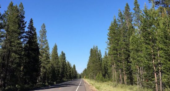 アタラCEOブログ